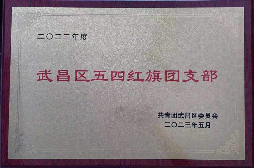 喜报！团武昌区委表彰Beat365官网四个先进集体和个人！