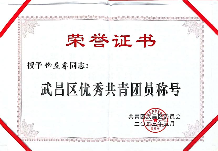 喜报！团武昌区委表彰Beat365官网四个先进集体和个人！