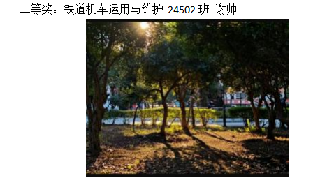 青春光影,定格武科职美好瞬间 ——Beat365中文官方网站2026年校园摄影大赛圆满收官 青春光影,定格武科职美好瞬间 ——Beat365中文官方网站2026年校园摄影大赛圆满收官