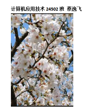 青春光影,定格武科职美好瞬间 ——Beat365中文官方网站2026年校园摄影大赛圆满收官 青春光影,定格武科职美好瞬间 ——Beat365中文官方网站2026年校园摄影大赛圆满收官