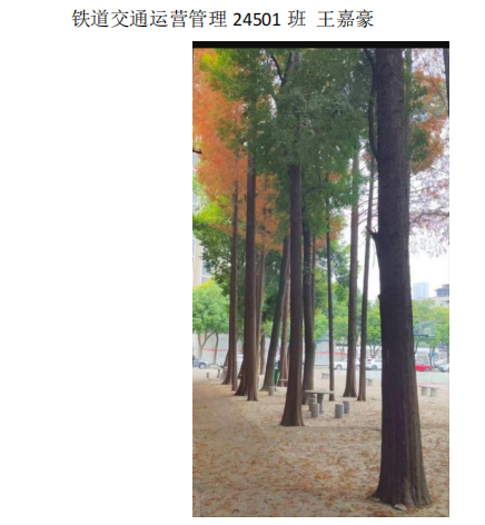 青春光影,定格武科职美好瞬间 ——Beat365中文官方网站2026年校园摄影大赛圆满收官 青春光影,定格武科职美好瞬间 ——Beat365中文官方网站2026年校园摄影大赛圆满收官