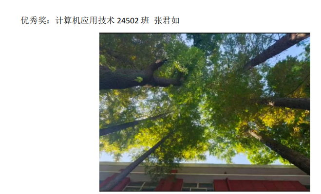 青春光影,定格武科职美好瞬间 ——Beat365中文官方网站2026年校园摄影大赛圆满收官 青春光影,定格武科职美好瞬间 ——Beat365中文官方网站2026年校园摄影大赛圆满收官