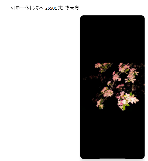 青春光影,定格武科职美好瞬间 ——Beat365中文官方网站2026年校园摄影大赛圆满收官 青春光影,定格武科职美好瞬间 ——Beat365中文官方网站2026年校园摄影大赛圆满收官