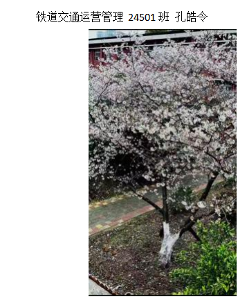 青春光影,定格武科职美好瞬间 ——Beat365中文官方网站2026年校园摄影大赛圆满收官 青春光影,定格武科职美好瞬间 ——Beat365中文官方网站2026年校园摄影大赛圆满收官