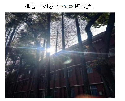 青春光影,定格武科职美好瞬间 ——Beat365中文官方网站2026年校园摄影大赛圆满收官 青春光影,定格武科职美好瞬间 ——Beat365中文官方网站2026年校园摄影大赛圆满收官