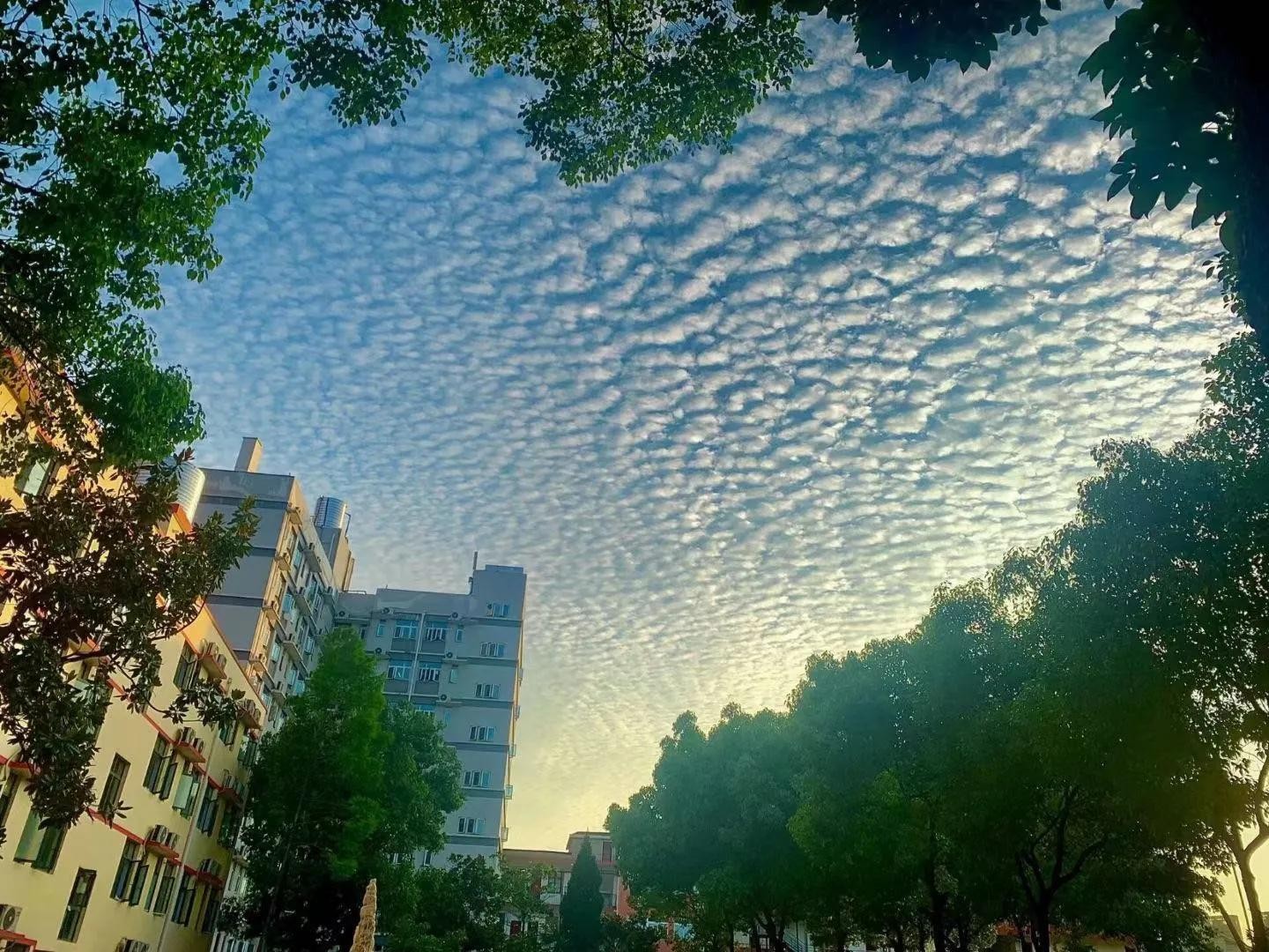 毕业进国企，福利好，待遇高；Beat365中文官方网站学生很“清高