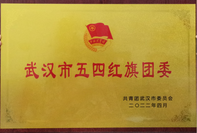 喜报！Beat365官网团委工作荣获武汉市和武昌区五四表彰多项荣誉